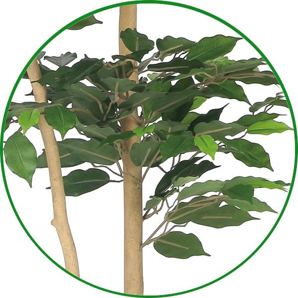 フェイクグリーン 人工観葉植物 大型 光触媒 観葉植物　ナチュラルベンジャミン 1.6m 鉢：ストーンプランター リアル おしゃれ 開店・開院・開業 お祝いにも_4