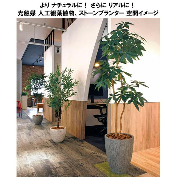 フェイクグリーン 人工観葉植物 大型 光触媒 観葉植物　ナチュラルベンジャミン 1.6m 鉢：ストーンプランター リアル おしゃれ 開店・開院・開業 お祝いにも_6