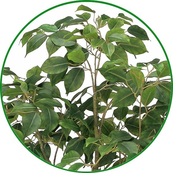 人工観葉植物 大型 フェイクグリーン 光触媒 観葉植物 インテリア フィカスツリー1.35m リアル おしゃれ 開店・開院・開業 お祝いにもの画像