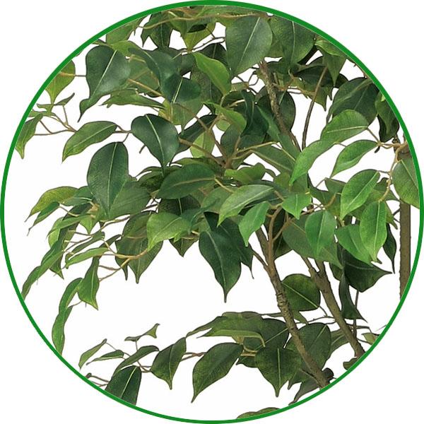 人工観葉植物 大型 フェイクグリーン 光触媒 観葉植物 インテリア フィカスツリー1.35m リアル おしゃれ 開店・開院・開業 お祝いにもの画像