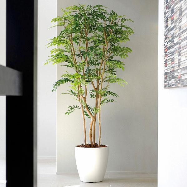 光触媒　人工観葉植物　人工観葉植物　フェイクグリーン　トネリコ1.8m 楽天市場】光触媒 光の楽園 トネリコ 1.2m【インテリア フェイク