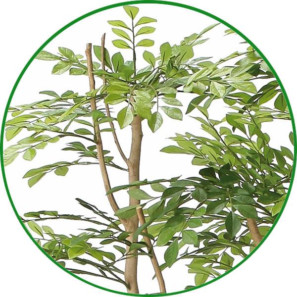 人工観葉植物 大型 フェイクグリーン 光触媒 観葉植物 ツートン