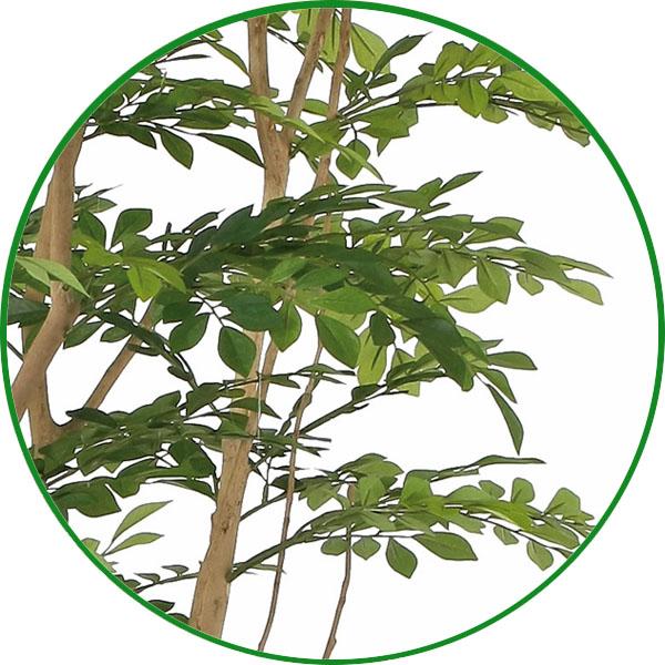 人工観葉植物 大型 フェイクグリーン 光触媒 観葉植物 ツートン