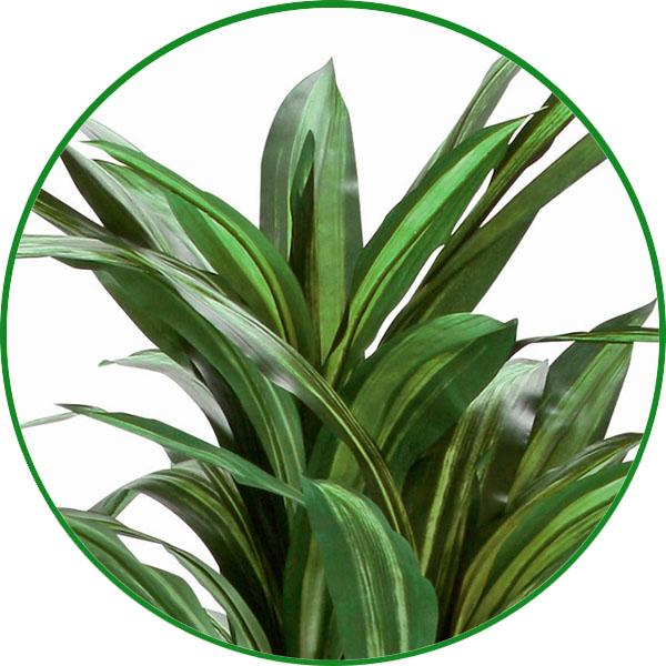 人工観葉植物 大型 フェイクグリーン 光触媒 観葉植物　ナチュラル幸福の木 1.65m 鉢：ストーンプランター リアル おしゃれ 開店・開院・開業 お祝いにも_1