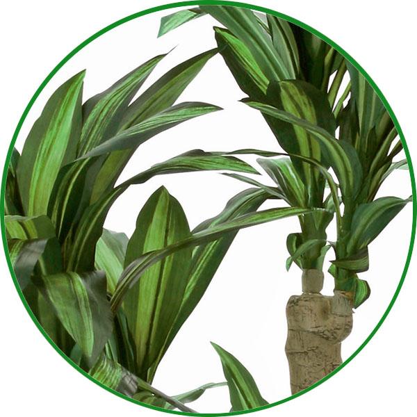 人工観葉植物 大型 フェイクグリーン 光触媒 観葉植物　ナチュラル幸福の木 1.65m 鉢：ストーンプランター リアル おしゃれ 開店・開院・開業 お祝いにも_2