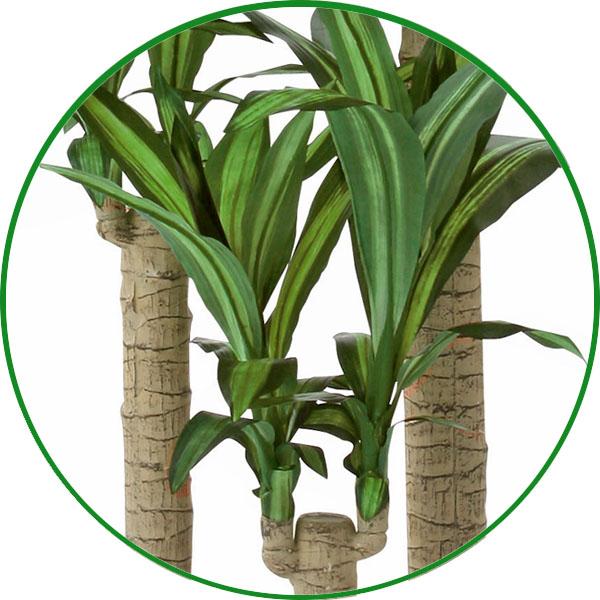 人工観葉植物 大型 フェイクグリーン 光触媒 観葉植物　ナチュラル幸福の木 1.65m 鉢：ストーンプランター リアル おしゃれ 開店・開院・開業 お祝いにも_3