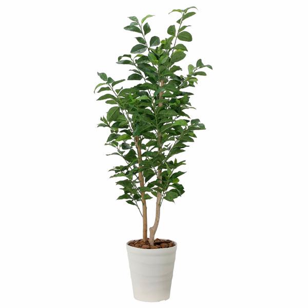 人工観葉植物 大型 フェイクグリーン 光触媒 観葉植物 インテリア 