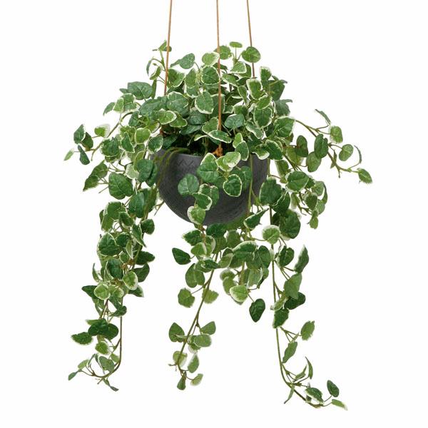 フェイクグリーン 人工観葉植物 光触媒 ハンギング 壁掛け 造花