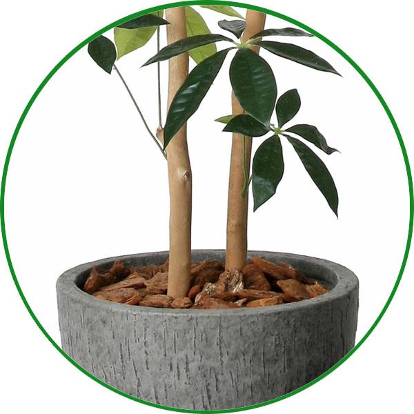 人工観葉植物 大型 フェイクグリーン 光触媒 観葉植物 ナチュラルパキラ 1.6m 鉢：ストーンプランター インテリア リアル 開店 開院 開業 お祝いにも 新商品_4