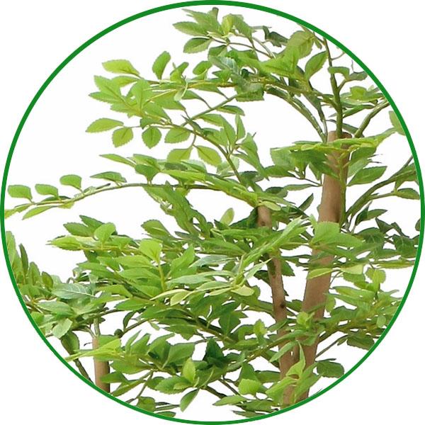 光触媒　人工観葉植物　ウォールグリーン　フェイクグリーン　ゴールデンリーフ鉢付き 人工観葉植物 大型 フェイクグリーン 光触媒 観葉植物 ナチュラル