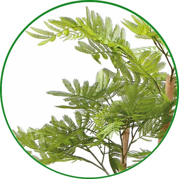 人工観葉植物 大型 フェイクグリーン 光触媒 観葉植物 ナチュラルねむの木 1.6m 鉢：ストーンプランター リアル インテリア 開店 開院 開業 お祝いにも 新商品_1