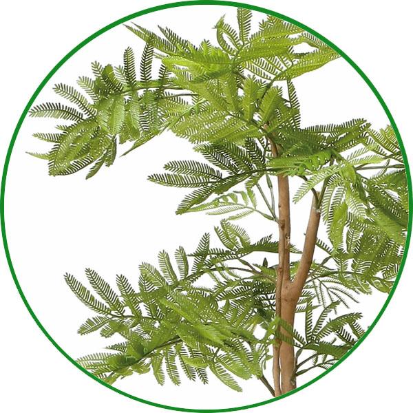 人工観葉植物 大型 フェイクグリーン 光触媒 観葉植物 ナチュラルねむの木 1.6m 鉢：ストーンプランター リアル インテリア 開店 開院 開業 お祝いにも 新商品_2