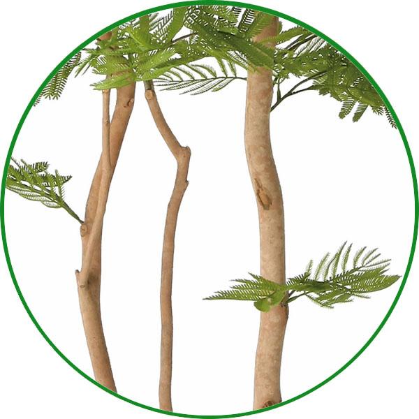 人工観葉植物 大型 フェイクグリーン 光触媒 観葉植物 ナチュラルねむの木 1.6m 鉢：ストーンプランター リアル インテリア 開店 開院 開業 お祝いにも 新商品_4