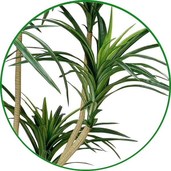 光触媒 人工観葉植物 ウォールグリーン フェイクグリーン ユッカ1.6