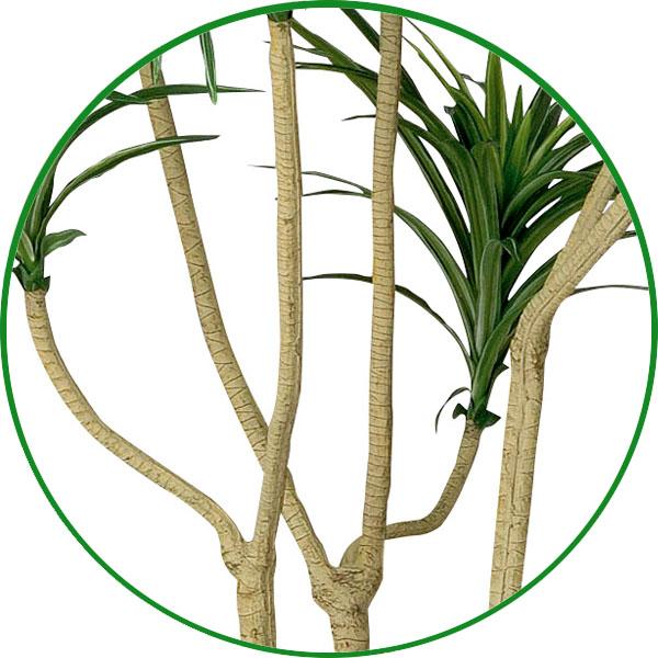 光触媒 人工観葉植物 ウォールグリーン フェイクグリーン ユッカ1.6