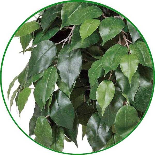 光触媒 人工観葉植物 フェイクグリーン　ベンジャミントピアリー1.2 光触媒 人工観葉植物 フェイクグリーン ベンジャミントピアリー1.2