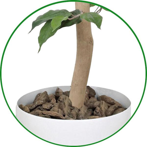 光触媒 人工観葉植物 フェイクグリーン ベンジャミントピアリー1.2