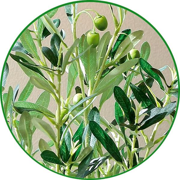 フェイクグリーン 人工観葉植物 インテリア 光触媒 観葉植物 オリーブ
