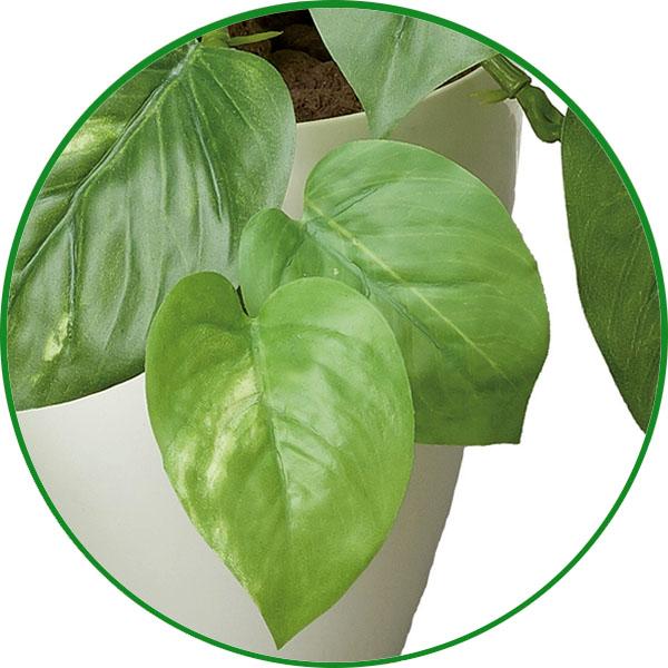 フェイクグリーン 人工観葉植物 インテリア 光触媒 観葉植物