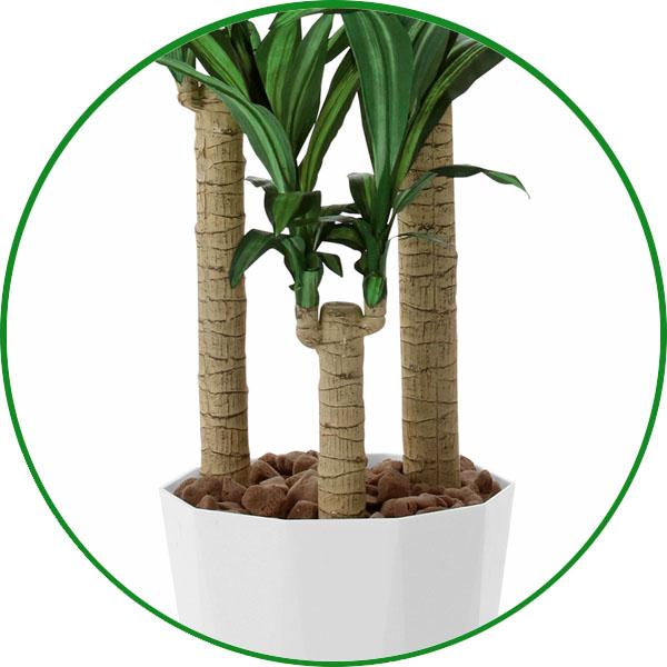 人工観葉植物 大型 フェイクグリーン 光触媒 観葉植物 幸福の木 人工観葉植物 大型 フェイクグリーン 光触媒 観葉植物 幸福の木