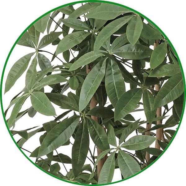 光触媒 観葉植物 フェイクグリーン 人工観葉植物 大型 光触媒 観葉植物 フェイクグリーン 人工観葉植物 大型