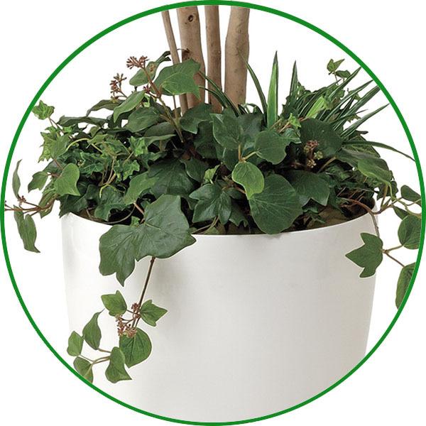 光触媒 観葉植物 フェイクグリーン 人工観葉植物 大型 光触媒 観葉植物 フェイクグリーン 人工観葉植物 大型