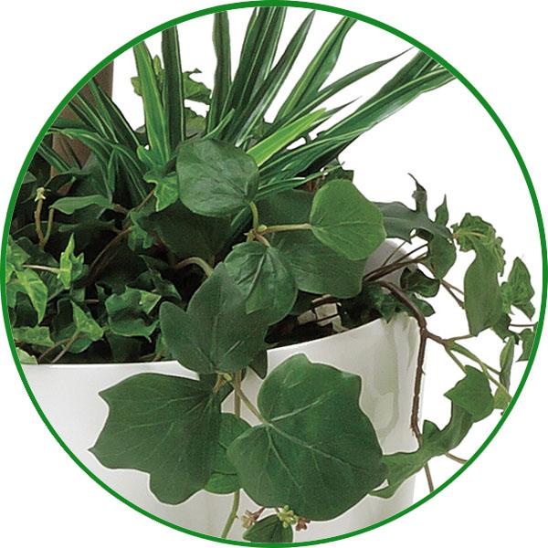 光触媒 観葉植物 フェイクグリーン 人工観葉植物 大型　ベンジャミンダブルフェイス 1.8m 植栽付 インテリア 開店・開院・開業 お祝いにも_6