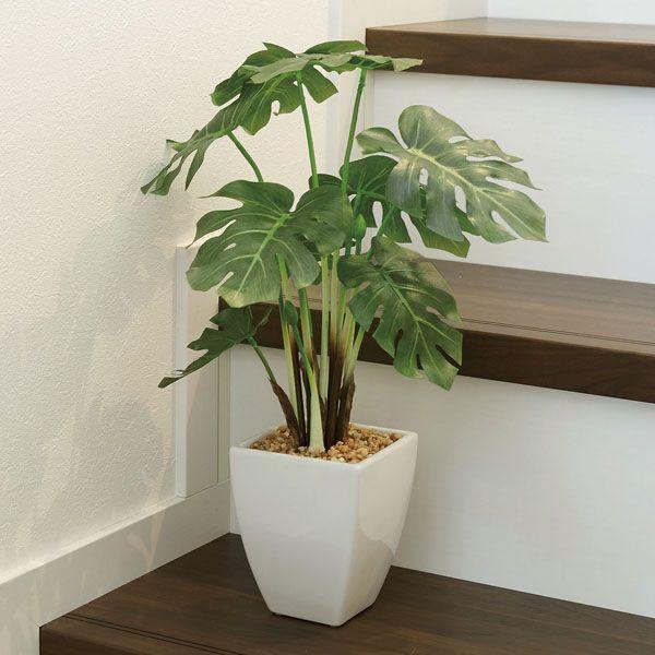 光触媒人工観葉植物テーブルタイプ モンステラポット Segurosaurora Com