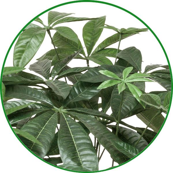 人工観葉植物 フェイクグリーン 光触媒 観葉植物 パキラ1.25m