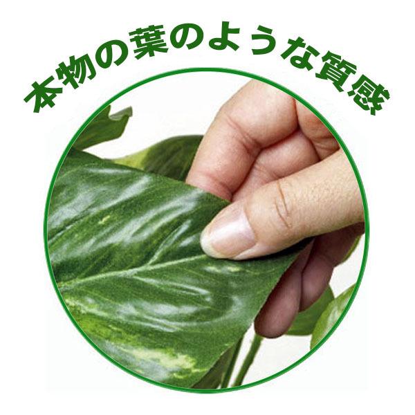 蔵 光触媒人工観葉植物 テーブルタイプ 光の楽園 フレッシュポトスｌ 高さ67cm あすつく 条件付 Wantannas Go Id