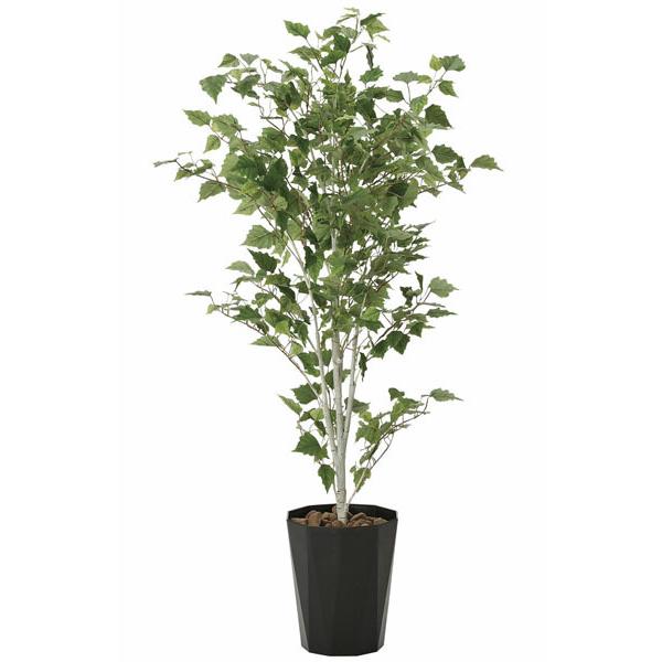 光触媒 観葉植物（人工観葉植物 大型）インテリア フェイクグリーン　白樺1.4m