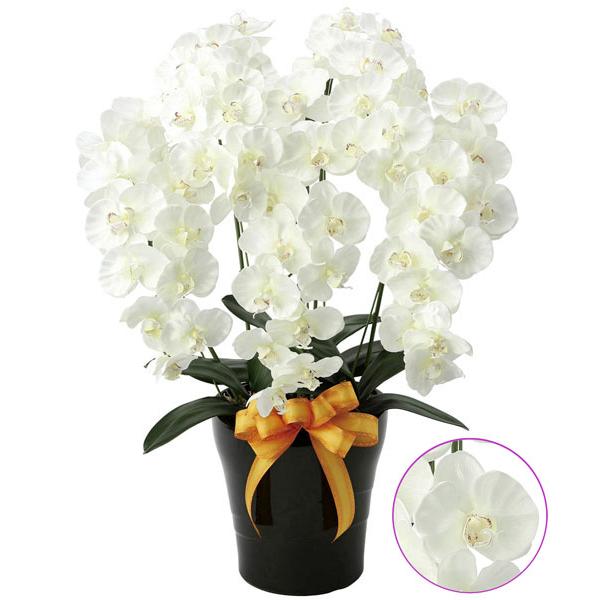 光触媒胡蝶蘭 新色追加して再販 造花の胡蝶蘭 プレミアム胡蝶蘭５本立ｗ 光の楽園