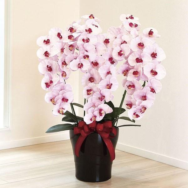 即納最大半額 光触媒胡蝶蘭 造花 光の楽園 プレミアム胡蝶蘭５本立ｐ 楽天1位 Jeannesauve Org