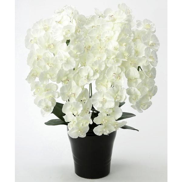 光触媒胡蝶蘭 造花の胡蝶蘭 プレミアム胡蝶蘭7本立ｗ 658a250st 光の楽園ショップ モントブレッテ 通販 Yahoo ショッピング