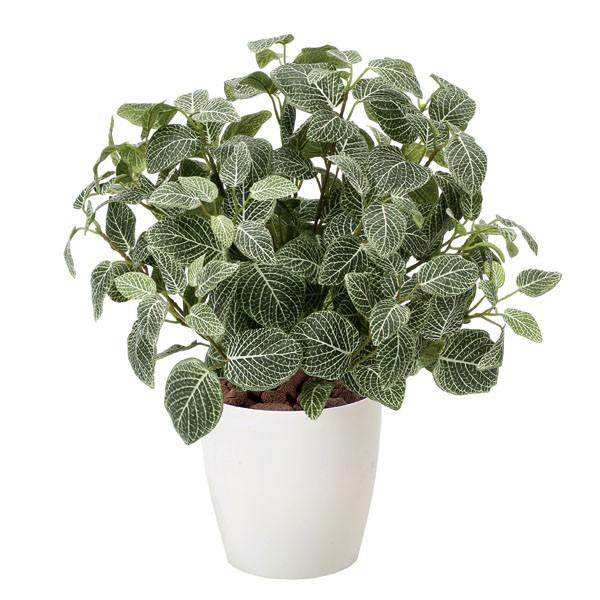 人工観葉植物 フェイクグリーン 光触媒 観葉植物 フィットニアM