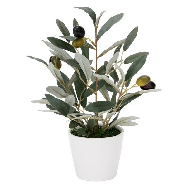 超特価sale開催 光触媒観葉植物テーブルタイプ 人工植物 ミニオリーブ Wantannas Go Id