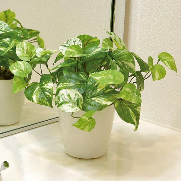 フェイクグリーン 人工観葉植物 インテリア 光触媒 観葉植物　マーブルポトス  おしゃれ 造花 あすつく・条件付（Yahoo!・光の楽園ショップ モントブレッテ）