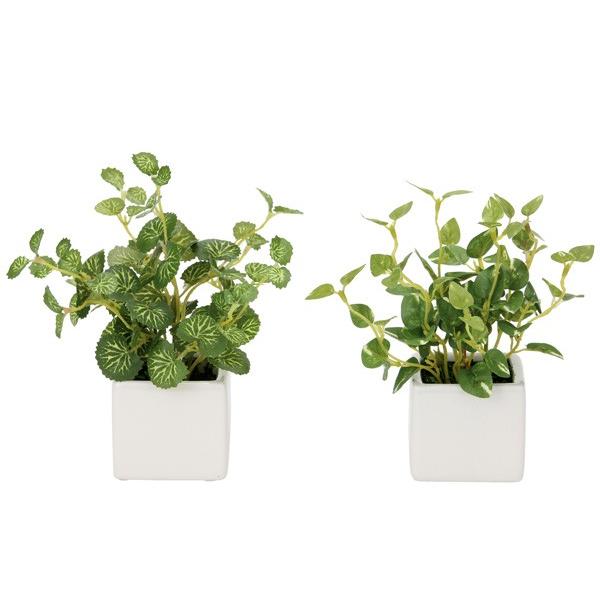 光触媒観葉植物テーブルタイプ 人工植物 ハートリーフ ポトス２個セット Lakesidecoc Us