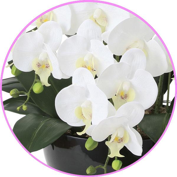 光触媒 胡蝶蘭 造花の胡蝶蘭 フレッシュロング胡蝶蘭7本立W (開店