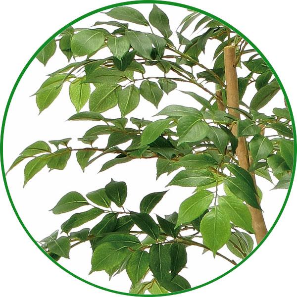 人工観葉植物 大型 フェイクグリーン 光触媒 観葉植物 人工観葉植物 大型 フェイクグリーン 光触媒 観葉植物