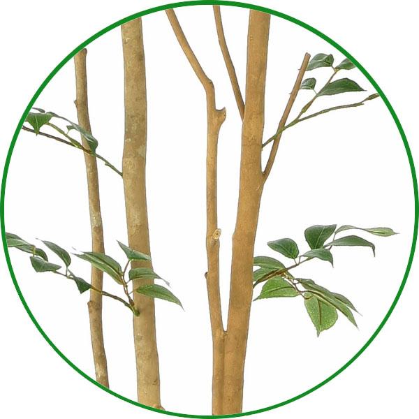 人工観葉植物 大型 フェイクグリーン 光触媒 観葉植物 人工観葉植物 大型 フェイクグリーン 光触媒 観葉植物