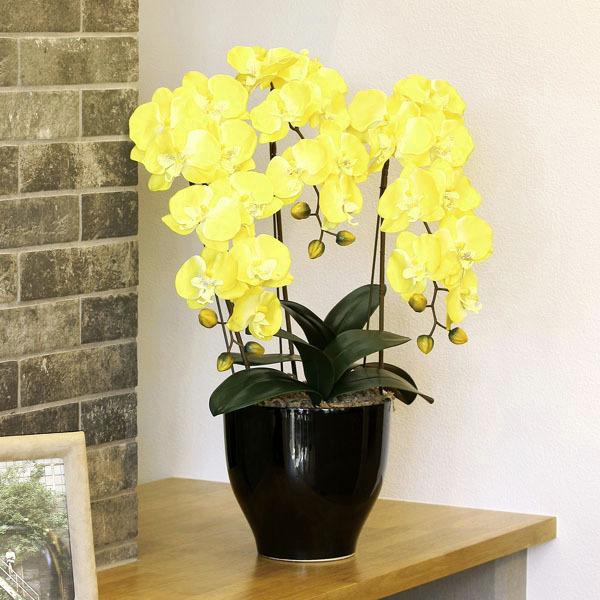 光触媒 胡蝶蘭（造花の胡蝶蘭）光の園　胡蝶蘭セリースＹ、あすつく・条件付