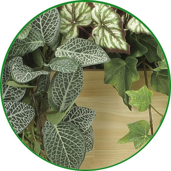 光触媒 人工観葉植物 フェイクグリーン ウッドボックスパキラ1.0m