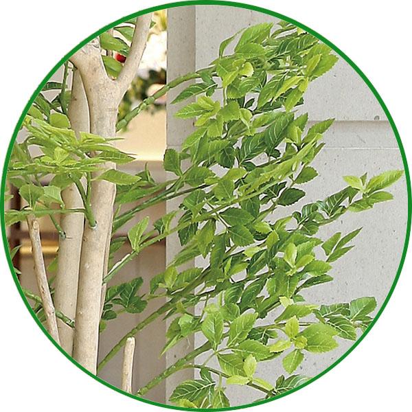 人工観葉植物 大型 フェイクグリーン 光触媒 観葉植物