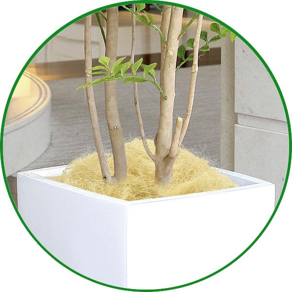 光触媒　人工観葉植物　フェイクグリーン　トールキングスタンド1.4 光触媒人工観葉植物フェイクグリーントールキングスタンド1.4