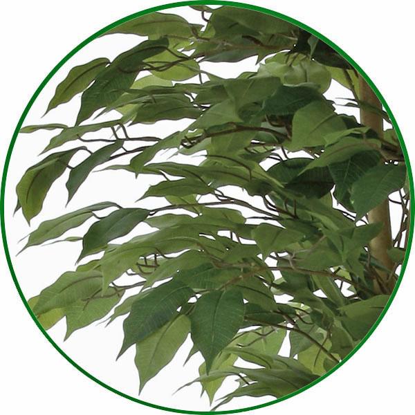 光触媒　人工観葉植物　フェイクグリーン　アーバンベンジャミン1.8 光触媒 人工観葉植物 フェイクグリーン アーバンベンジャミン1.8