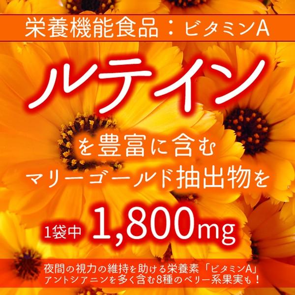 くっきり濃いビルベリー＆ルテイン（栄養機能食品：ビタミンA） 360粒 約6か月分 送料無料（ヤマトネコポス・ポスト投函・日時指定不可）サプリメント｜monte-lab｜03