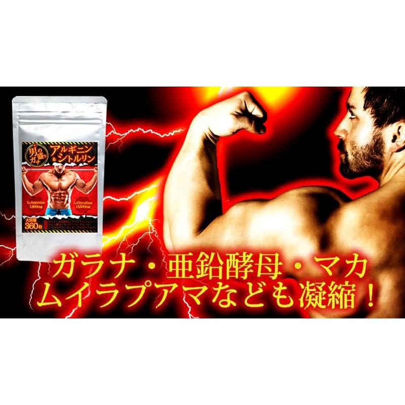 レア品！！　ジャングル・ジャンボ　/稼働美品/日本製ブリキです レア品！！ ジャングル・ジャンボ /稼働美品/日本製ブリキです 手塚