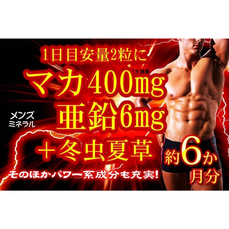 たっぷり濃縮マカ亜鉛+冬虫夏草 360粒 約6か月分 送料無料