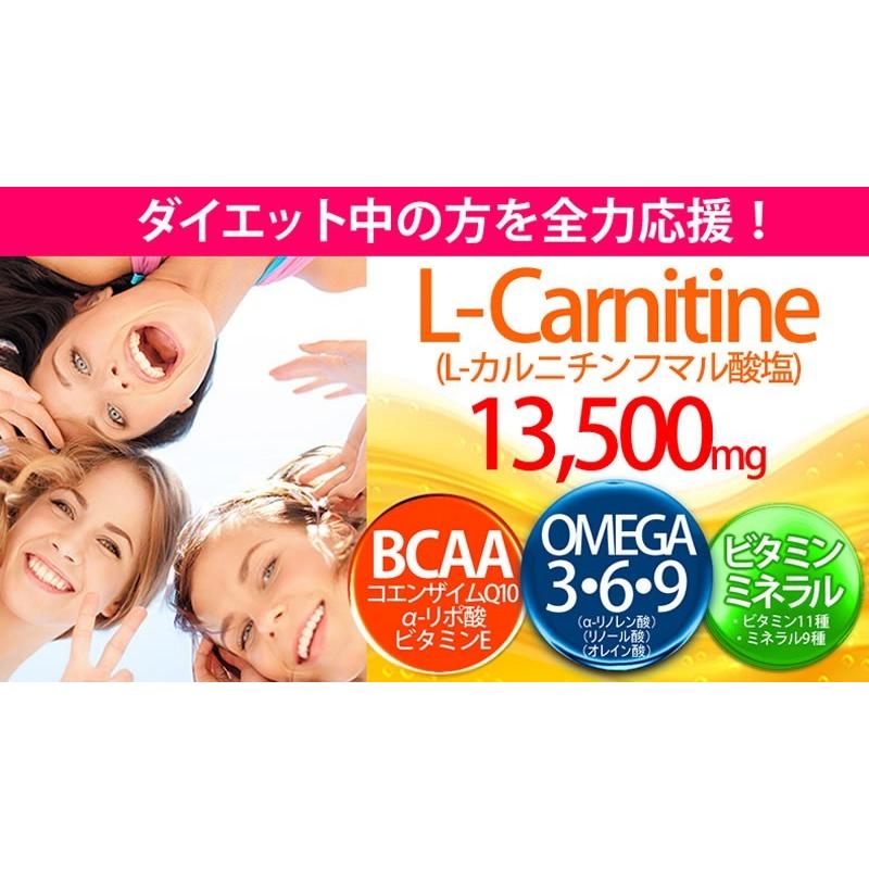 L-カルニチン & オメガ3・6・9 サプリ 360粒 約6か月分 送料無料（ヤマトネコポス・ポスト投函・日時指定不可）サプリメント｜monte-lab｜02